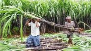 Sugarcane FRP Increase: गन्ना खरीद की कीमत में 8 फीसदी का इजाफा, किसान आंदोलन के बीच मोदी सरकार ने लिया फैसला